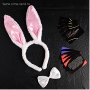 Эротический набор "Во власти страсти. Девушка-плейбой"