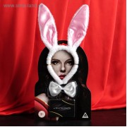 Эротический набор "Во власти страсти. Девушка-плейбой"