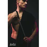 Поводок с цепью